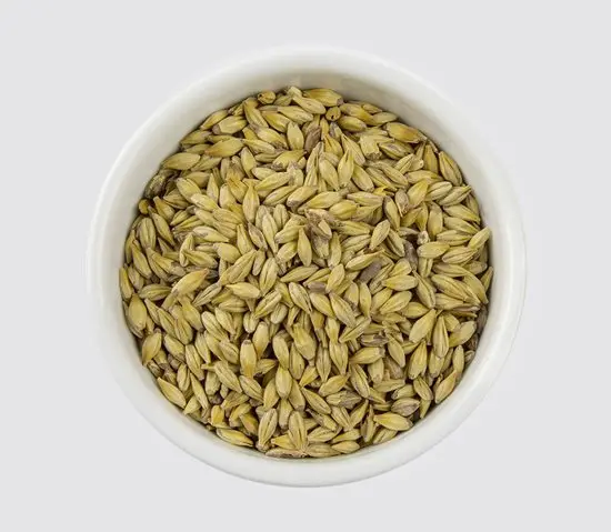 לתת מיוניך סוג 2