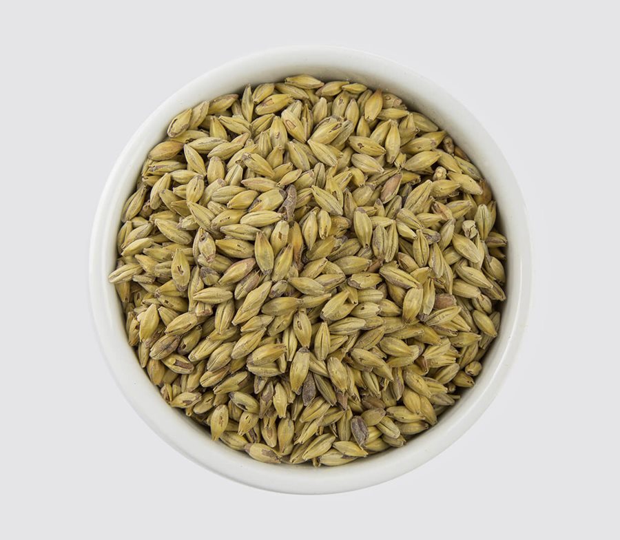 לתת מלנוידין 100 גרם